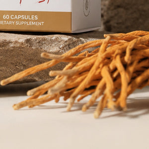 Cordyceps