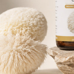Lion’s mane mushroom
